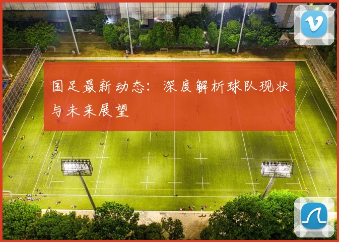 国足最新动态：深度解析球队现状与未来展望