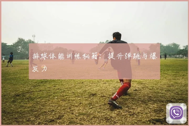 排球体能训练秘籍：提升弹跳与爆发力