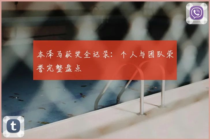 本泽马获奖全记录：个人与团队荣誉完整盘点