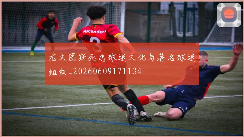 尤文图斯死忠球迷文化与著名球迷组织_20260609171134